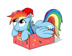 Size: 1435x1107 | Tagged: safe, artist:eels, rainbow dash, pegasus, pony, g4, box, butt, christmas, cute, dashabetes, hat, holiday, if i fits i sits, implied anon, plot, pony in a box, present, rainbutt dash, santa hat, smiling, solo