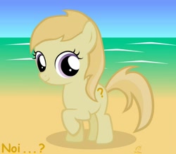 Size: 900x787 | Tagged: safe, artist:otherunicorn, noi, earth pony, pony, g4, beach, comic sans, cutie mark, female, filly, ocean, question mark, raised hoof, smiling, text