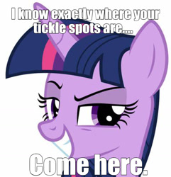 Size: 998x1034 | Tagged: safe, twilight sparkle, pony, unicorn, g4, bronybait, caption, evil smile, grin, imminent tickles, implied tickling, looking at you, meme, smiling, smirk, solo, text, this will end in tickles