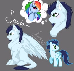 Size: 2048x1967 | Tagged: safe, artist:shadowdash44, rainbow dash, soarin', pegasus, pony, g4, alternate design, chest fluff, female, male, ship:soarindash, shipping, straight, thought bubble