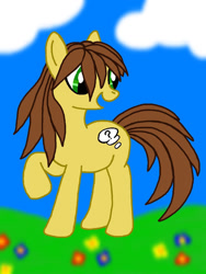 Size: 768x1024 | Tagged: safe, artist:agentkit95, oc, oc only, earth pony, pony, cloud, earth pony oc, flower, grass, looking back, raised hoof, solo