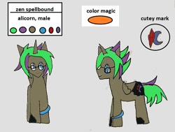 Size: 1138x862 | Tagged: safe, artist:ask-luciavampire, alicorn, pony, ask ponys gamer club, profile, tumblr