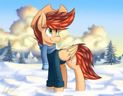 Size: 3200x2500 | Tagged: safe, artist:kaylerustone, oc, oc only, oc:kayle rustone, pegasus, pony, clothes, cloud, dawn, high res, looking up, male, mountain, scarf, snow, stallion, sweater, tree