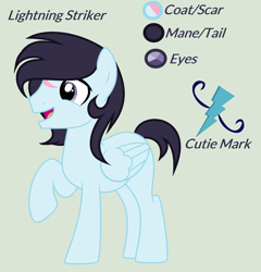 Size: 2397x2502 | Tagged: safe, artist:lominicinfinity, oc, oc only, oc:lightning striker, pegasus, pony, high res, male, reference sheet, scar, simple background, solo, stallion