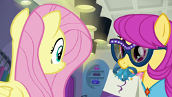 Size: 1920x1080 | Tagged: safe, screencap, fluttershy, pursey pink, earth pony, pegasus, pony, fake it 'til you make it, g4, female, mare, sunglasses