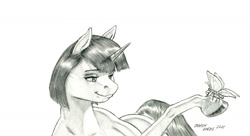 Size: 1500x815 | Tagged: safe, artist:baron engel, oc, oc:marble vein, butterfly, pony, unicorn, female, mare, monochrome, pencil drawing, story included, traditional art