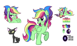 Size: 3984x2364 | Tagged: safe, artist:tired-horse-studios, oc, oc only, oc:color crush, cat, pegasus, pony, female, high res, magazine, magical lesbian spawn, mare, offspring, parent:rainbow dash, parent:tree hugger, parents:rainbowhugger, reference sheet, simple background, solo, transparent background