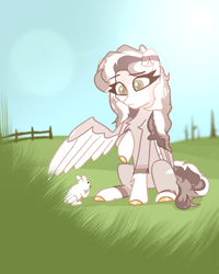 Size: 800x1000 | Tagged: safe, artist:osukel, oc, oc only, oc:western florence, pony