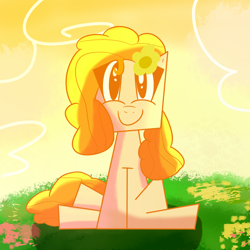 Size: 2000x2000 | Tagged: safe, artist:captdraws, pear butter, earth pony, pony, g4, cubism, cute, field, flower, flower in hair, high res, modern art, pearabetes, sitting, solo