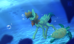 Size: 2380x1428 | Tagged: safe, artist:elektra-gertly, oc, oc only, oc:delta hooves, fish, pegasus, pony, turtle, commission, fluffy, freediving, male, ocean, puffy cheeks, solo, stallion, swimming, traditional art, underwater, watermark