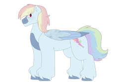 Size: 1280x854 | Tagged: safe, artist:itstechtock, oc, oc only, pegasus, pony, colored wings, male, multicolored wings, simple background, solo, stallion, transparent background, wings