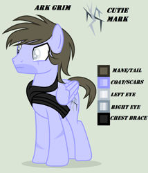 Size: 1300x1520 | Tagged: safe, artist:lominicinfinity, oc, oc only, oc:ark grim, pegasus, pony, male, reference sheet, simple background, solo, stallion