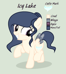 Size: 942x1054 | Tagged: safe, artist:lominicinfinity, oc, oc only, oc:icy lake, pegasus, pony, female, filly, reference sheet, simple background, solo