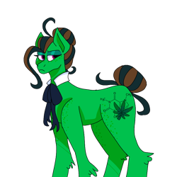 Size: 768x768 | Tagged: safe, artist:icantaert, oc, oc only, earth pony, pony, earth pony oc, simple background, solo, transparent background