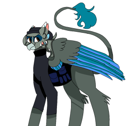 Size: 768x768 | Tagged: safe, artist:icantaert, oc, oc only, griffon, beanie, clothes, griffon oc, hat, simple background, solo, transparent background