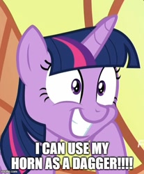 Size: 500x603 | Tagged: safe, edit, edited screencap, editor:twi clown, screencap, twilight sparkle, alicorn, pony, g4, school daze, season 8, captain obvious, caption, cheek squish, cropped, excited, faic, female, grin, happy, horn, image macro, imgflip, imminent death, imminent murder, implied horn impalement, mare, smiling, solo, squee, squishy cheeks, text, this will end in murder, twilight sparkle (alicorn), wide eyes