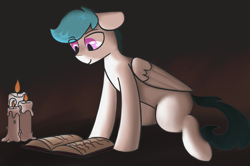 Size: 1584x1054 | Tagged: safe, artist:aripegio, oc, oc only, oc:file folder, pegasus, pony, book, candle, candlelight, horsin' around, solo