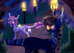 Size: 3512x2512 | Tagged: safe, artist:honeybbear, oc, oc only, earth pony, pony, female, high res, mare, night