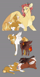 Size: 1280x2480 | Tagged: safe, artist:vintagefeline, fluttershy, trouble shoes, oc, oc:cherry bomb blaze, oc:olive laurel, earth pony, pegasus, pony, g4, baby, baby pony, colt, crying, father and child, father and son, female, floppy ears, foal, gray background, height difference, liquid pride, male, mare, mother and child, mother and son, offspring, parent:dumbbell, parent:fluttershy, parent:rainbow dash, parent:trouble shoes, parents:dumbdash, parents:troubleshy, simple background, stallion, tears of joy, wing shelter