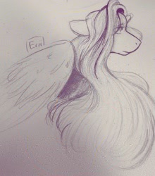 Size: 1433x1626 | Tagged: safe, artist:eriiair, fluttershy, pegasus, pony, g4, bust, female, floppy ears, grayscale, mare, monochrome, pencil drawing, portrait, profile, sketch, solo, traditional art, wings