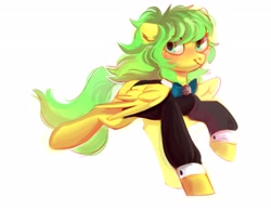 Size: 4096x3186 | Tagged: safe, artist:raily, oc, oc only, pegasus, pony, solo