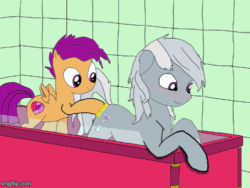 Size: 500x375 | Tagged: safe, artist:pacmanplayz, scootaloo, silver spoon, pegasus, pony, g4, animated, blushing, female, filly, foal, gif, lesbian, looking at butt, ship:spoonaloo, shipping