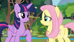 Size: 1920x1080 | Tagged: safe, screencap, fluttershy, twilight sparkle, alicorn, pegasus, pony, memnagerie, spoiler:memnagerie, spoiler:mlp friendship is forever, butt, cute, duo, duo female, female, flower, flutterbutt, folded wings, grin, gritted teeth, mare, outdoors, plot, raised hoof, river, shyabetes, smiling, sweet feather sanctuary, twilight sparkle (alicorn), water, wings