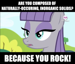 Size: 641x550 | Tagged: safe, edit, edited screencap, screencap, maud pie, earth pony, pony, g4, caption, female, image macro, mare, open mouth, pun, solo, text
