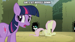 Size: 889x500 | Tagged: safe, artist:thor-disciple, edit, edited screencap, screencap, fluttershy, twilight sparkle, pony, g4, the return of harmony, caption, duo, hedge maze, image macro, text