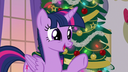 Size: 1920x1080 | Tagged: safe, screencap, twilight sparkle, alicorn, pony, g4, season 8, the hearth's warming club, christmas, christmas tree, cute, female, folded wings, hearth's warming eve, holiday, horn, mare, solo, tree, twiabetes, twilight sparkle (alicorn), wings