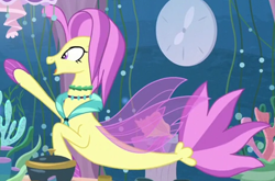 Size: 1298x855 | Tagged: safe, screencap, ocean flow, seapony (g4), g4, season 8, surf and/or turf, bubble, clock, clothes, coral, cropped, dishes, dorsal fin, female, fin, fin wings, fins, fish tail, floppy ears, flowing mane, flowing tail, jewelry, looking at someone, mothers gonna mother, necklace, ocean, open mouth, open smile, peytral, purple eyes, purple mane, purple tail, scales, seaquestria, seaweed, see-through, smiling, solo, swimming, tail, teapot, underwater, water, wings