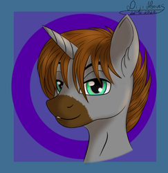 Size: 2000x2056 | Tagged: safe, artist:di-ji-hooves, oc, oc:sergey world, alicorn, pony, brony, bust, character, commission, high res, male, portrait