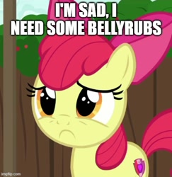 Size: 500x515 | Tagged: safe, edit, edited screencap, editor:twi clown, screencap, apple bloom, earth pony, pony, g4, season 6, the cart before the ponies, :c, bow, bronybait, caption, cropped, cutie mark, female, frown, image macro, imgflip, mare, sad, solo, text, the cmc's cutie marks
