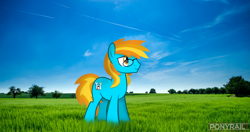 Size: 4831x2548 | Tagged: safe, artist:ponyrailartist, oc, oc only, oc:4everfreebrony, earth pony, pony, grass, grass field, irl, male, photo, ponies in real life, show accurate, solo, stallion