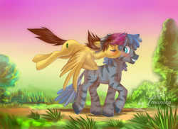 Size: 800x582 | Tagged: safe, artist:imanika, oc, oc only, pegasus, pony, zebra, 2013, cutie mark, digital art, duo, eyes closed, female, floppy ears, flying, goggles, kissing, looking back, male, mare, smiling, spread wings, stallion, sunset, tail, walking, wings, zebra oc