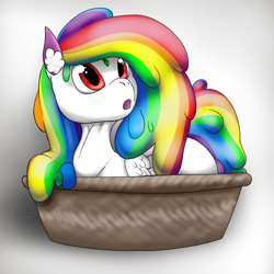 Size: 1440x1440 | Tagged: safe, artist:ladylullabystar, artist:tracerpainter, oc, oc only, oc:rainbow drips, pegasus, pony, basket, rainbow, smol, solo