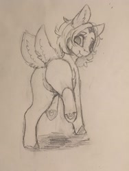 Size: 1536x2048 | Tagged: safe, artist:miokomata, oc, oc only, oc:clay akuma, earth pony, fennec fox, fox, fox pony, hybrid, original species, pony, butt, double tail, female, looking at you, looking back, looking back at you, mare, monochrome, multiple tails, pencil drawing, plot, rear view, solo, traditional art