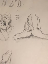 Size: 1536x2048 | Tagged: safe, artist:miokomata, oc, oc only, oc:clay akuma, earth pony, fennec fox, fox, fox pony, hybrid, original species, pony, bust, butt, double tail, female, mare, multiple tails, pencil drawing, plot, sketch, solo, splits, traditional art