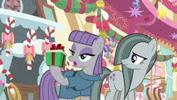 Size: 1920x1080 | Tagged: safe, screencap, marble pie, maud pie, earth pony, pony, g4, my little pony best gift ever, duo, female, mare, pie sisters, present, siblings, sisters
