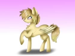 Size: 1080x810 | Tagged: safe, artist:rxndxm.artist, oc, oc only, pegasus, pony, chest fluff, gradient background, pegasus oc, raised hoof, solo, wings