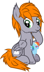 Size: 792x1295 | Tagged: safe, artist:lightningbolt, derpibooru exclusive, rainbow dash, oc, oc only, oc:dreamy orange, pony, 2021 community collab, derpibooru community collaboration, g4, .svg available, butt fluff, cheek fluff, ear fluff, fluffy, folded wings, hoof fluff, looking at you, male, plushie, pointy ponies, raised hoof, show accurate, simple background, sitting, smiling, stallion, svg, transparent background, vector, wing fluff, wings