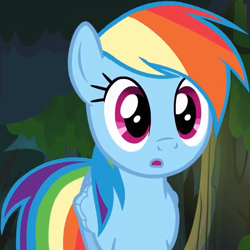 Size: 589x589 | Tagged: safe, screencap, rainbow dash, pegasus, pony, daring don't, g4, :o, cropped, female, mare, open mouth, solo