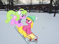 Size: 3264x2448 | Tagged: safe, artist:cloudy glow, artist:topsangtheman, cherry berry, daisy, flower wishes, earth pony, pony, g4, high res, hill, irl, park, photo, ponies in real life, sled, snow