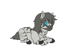 Size: 916x682 | Tagged: safe, artist:anelaponela, oc, pony, zebra, ear fluff, looking at you, male, simple background, smiling, teeth, transparent background