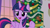 Size: 1920x1080 | Tagged: safe, screencap, twilight sparkle, alicorn, pony, g4, the hearth's warming club, christmas, christmas tree, female, holiday, mare, solo, tree, twilight sparkle (alicorn)