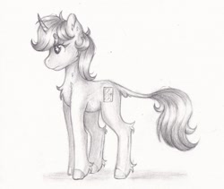 Size: 1600x1348 | Tagged: safe, artist:lightisanasshole, oc, oc only, oc:dorm pony, pony, unicorn, chest fluff, colored hooves, curved horn, ear fluff, female, horn, leg fluff, leonine tail, pencil drawing, reference sheet, solo, tail fluff, traditional art