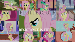 Size: 1986x1116 | Tagged: safe, edit, edited screencap, editor:quoterific, screencap, angel bunny, fluttershy, pinkie pie, earth pony, pegasus, pony, rabbit, filli vanilli, friendship is magic, g4, green isn't your color, hurricane fluttershy, make new friends but keep discord, party pooped, school daze, secret of my excess, sonic rainboom (episode), stare master, sweet and smoky, the cutie map, the one where pinkie pie knows, :i, animal, cute, feather, resistance is futile, shyabetes