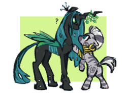 Size: 300x221 | Tagged: safe, artist:fizpup, queen chrysalis, zecora, changeling, changeling queen, zebra, cute, cutealis, ear piercing, earring, female, jewelry, mare, mistletoe, neck rings, piercing, quadrupedal, question mark, shipping, size difference, this will end in kisses, zecorable, zecoralis