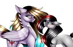 Size: 1600x1021 | Tagged: safe, artist:minelvi, oc, oc only, earth pony, pegasus, pony, blushing, duo, ear piercing, earring, earth pony oc, eye scar, eyelashes, jewelry, looking at each other, pegasus oc, piercing, scar, scrunchy face, simple background, transparent background, wings