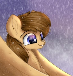 Size: 1528x1600 | Tagged: safe, artist:janelearts, oc, oc only, pegasus, pony, male, snow, solo, stallion